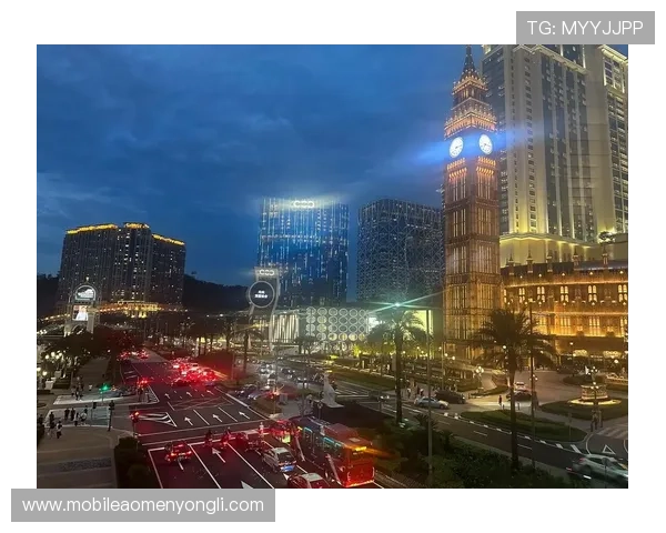 2024年澳门赌场网站排名前十名推荐，详细介绍各大平台的优势与特色